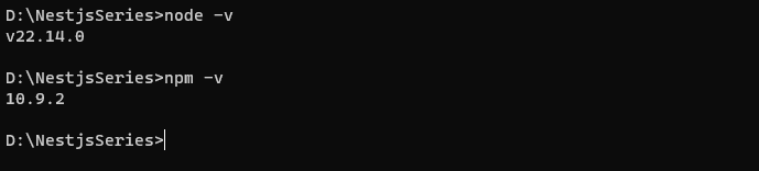 node_npm_check_version.png